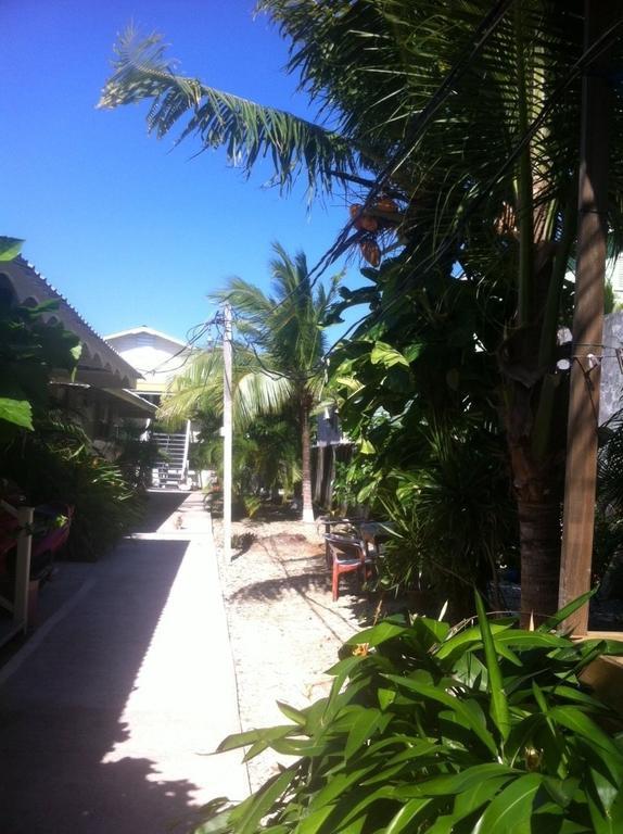 Cooper'S Inn Utila Δωμάτιο φωτογραφία